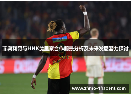 菲奥利奇与HNK戈里察合作前景分析及未来发展潜力探讨